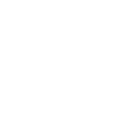 Histoire du IIIe Reich