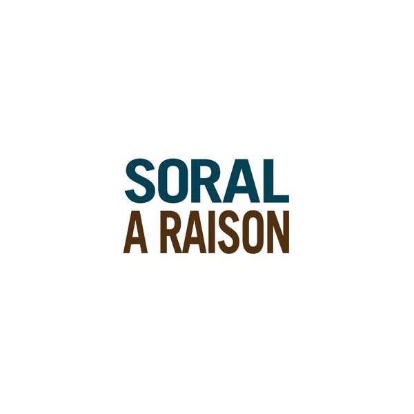 Affiche Soral a raison