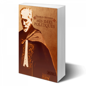 Mes idées politiques