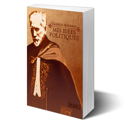 Mes idées politiques