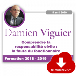 Comprendre la responsabilité civile : la faute du fonctionnaire