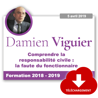 Comprendre la responsabilité civile : la faute du fonctionnaire
