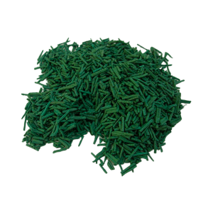 spiruline-en-brindilles